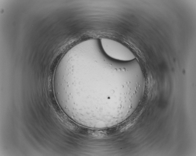 X0000087410359200704201026