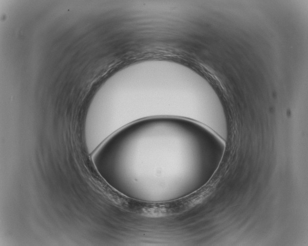 X0000087410362200704201026