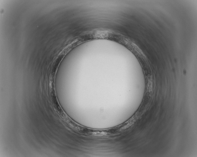 X0000087410363200704201026