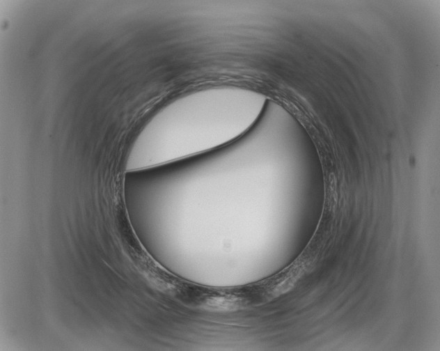 X0000087410364200704201026