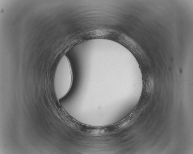 X0000087410366200704201026