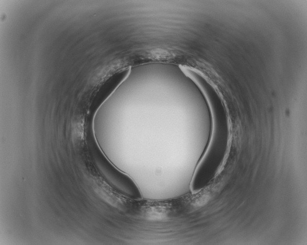 X0000087410368200704201026