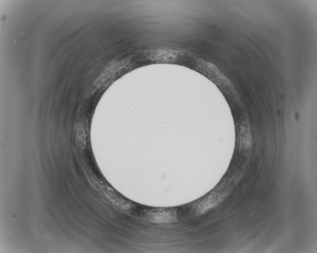 X0000087410370200704201026