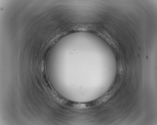 X0000087410374200704201026