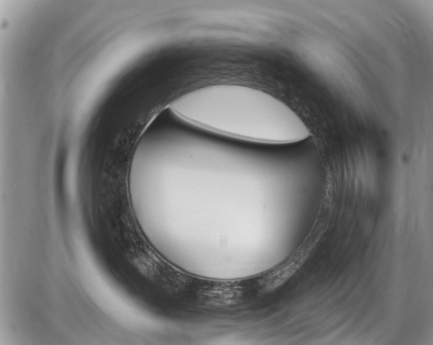 X0000087410383200704201027