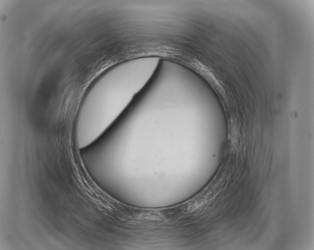 X0000087410386200704201026