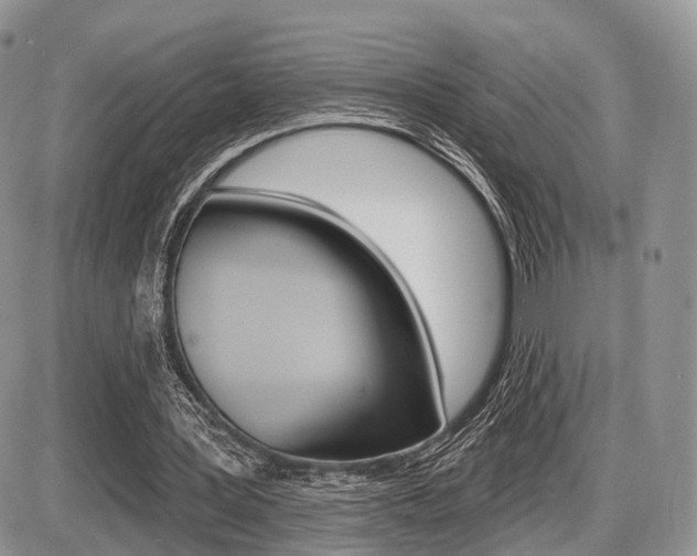 X0000087410387200704201026