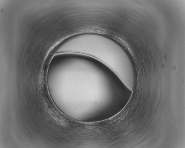 X0000087410388200704201026