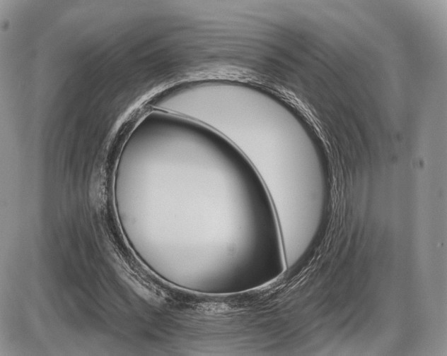 X0000087410392200704201026