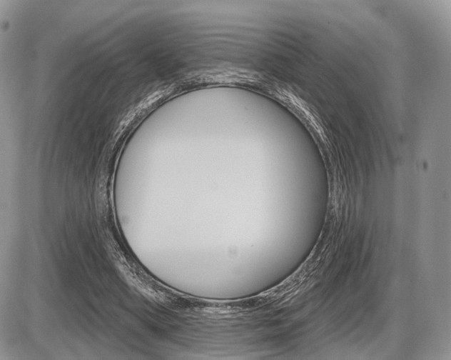 X0000087410394200704201026