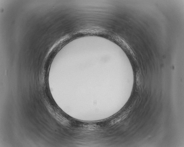 X0000087410396200704201026