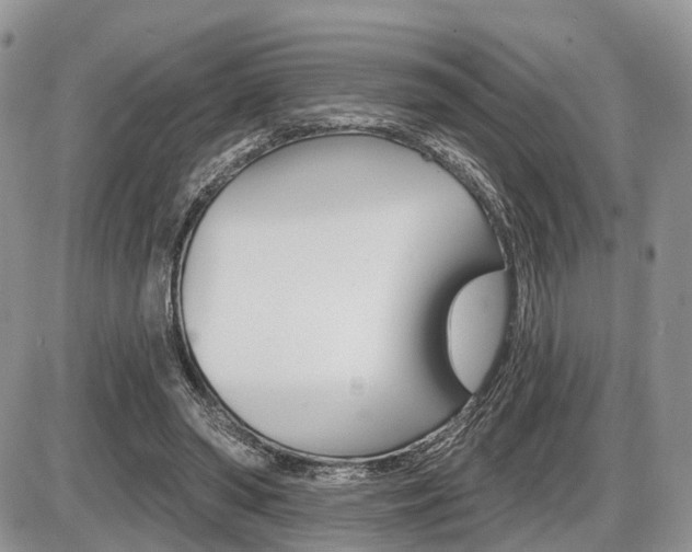 X0000087410398200704201026
