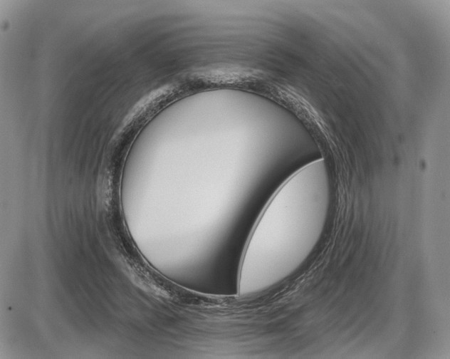 X0000087410400200704201026