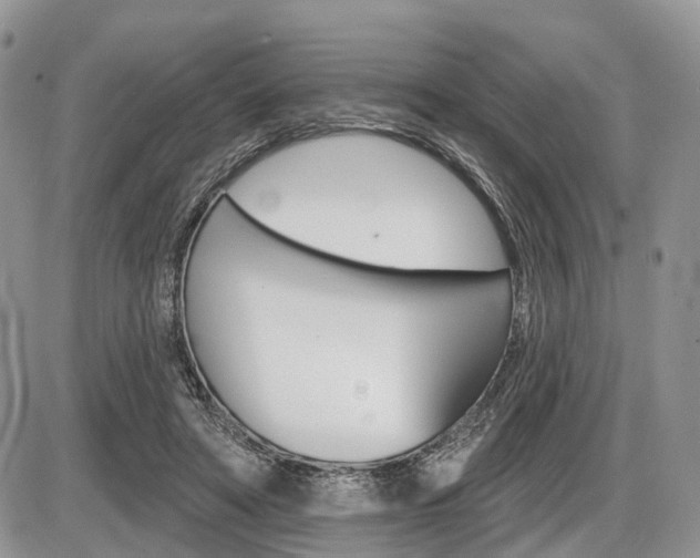 X0000087410402200704201025