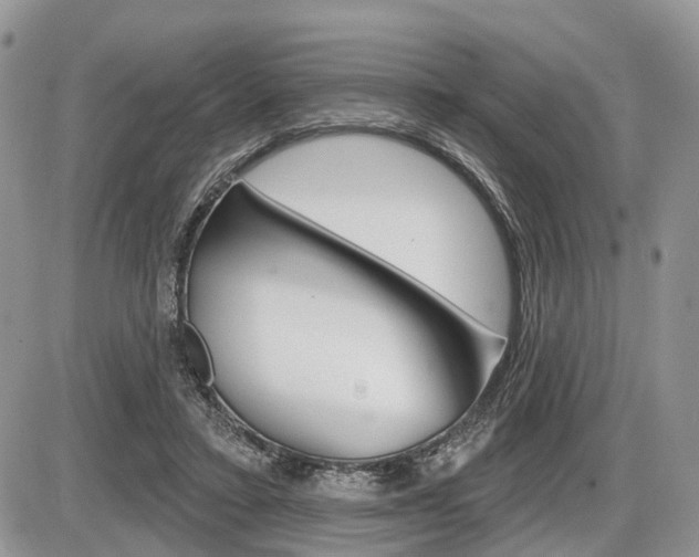 X0000087410403200704201025