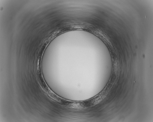 X0000087410406200704201025