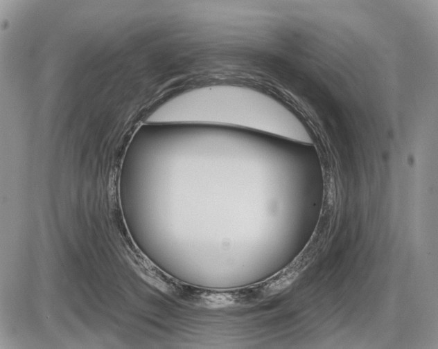 X0000087410409200704201025