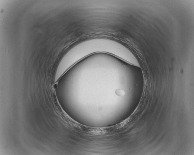 X0000087410415200704201025