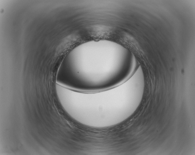 X0000087410416200704201025