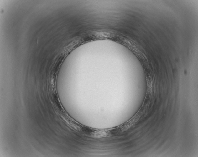 X0000087410418200704201025