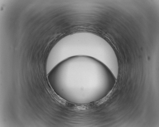 X0000087410423200704201025