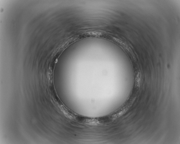 X0000087410424200704201025