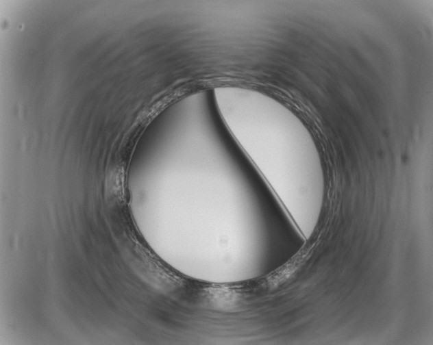 X0000087410425200704201025