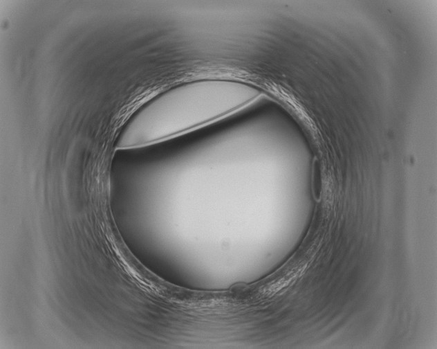 X0000087410433200704201024