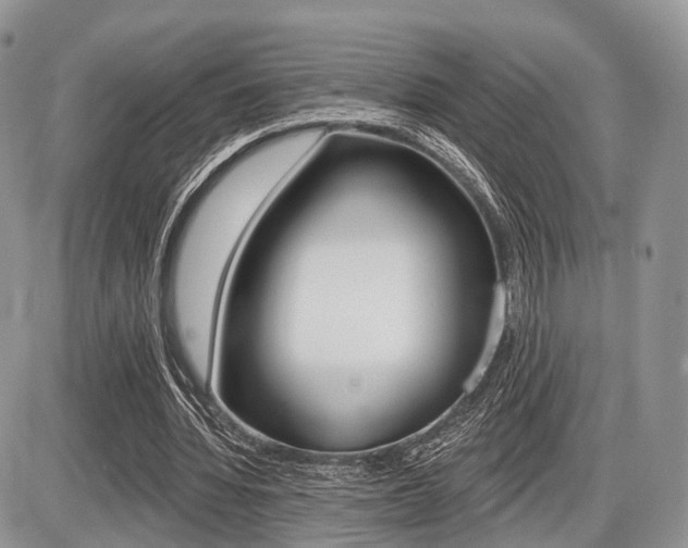 X0000087410436200704201024