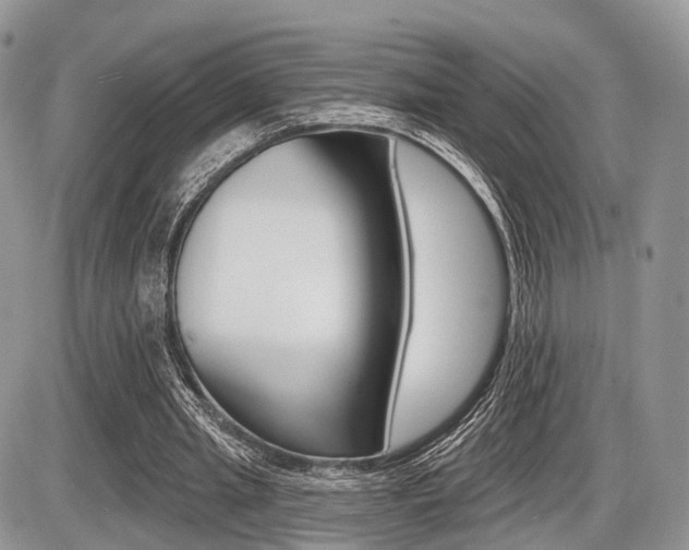 X0000087410437200704201024