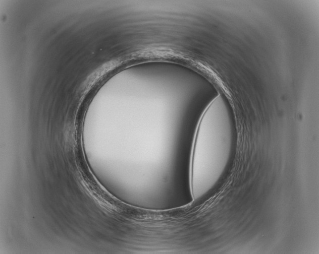 X0000087410439200704201024
