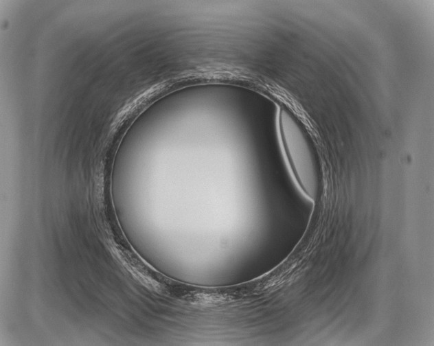 X0000087410442200704201024