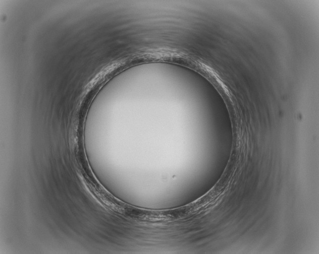 X0000087410443200704201024