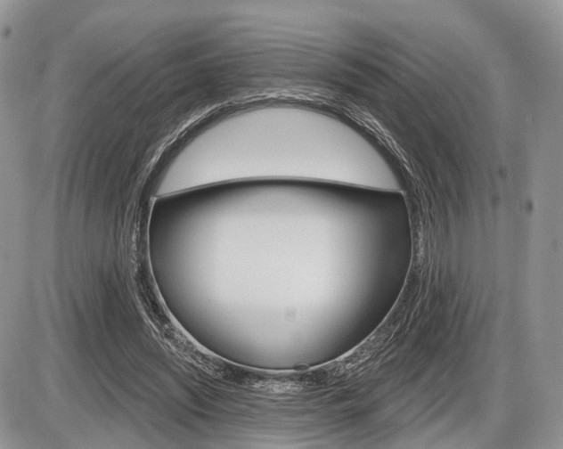 X0000087410444200704201024