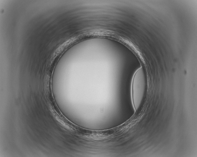 X0000087410445200704201024