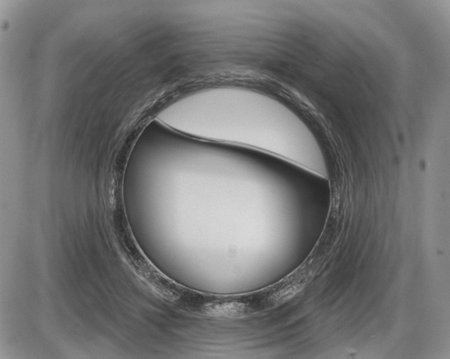 X0000087410452200704201025