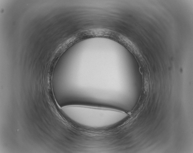 X0000087410453200704201025