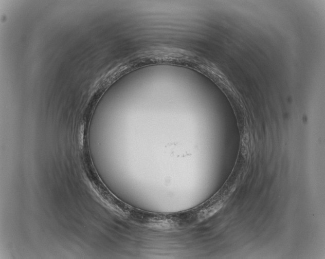 X0000087410454200704201025