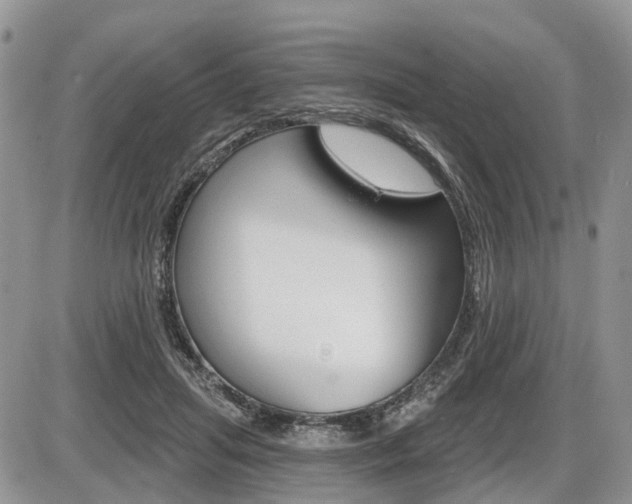 X0000087410455200704201025