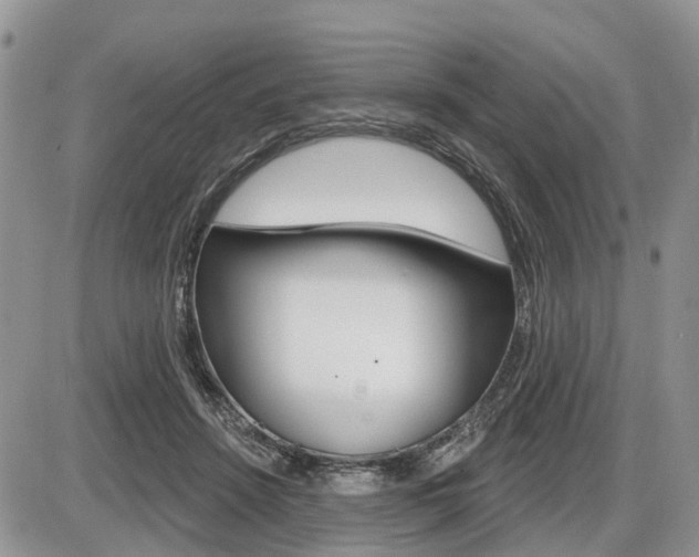 X0000087410456200704201025