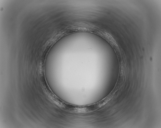 X0000087410457200704201025