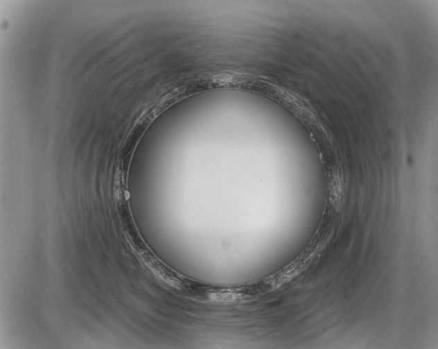 X0000087410470200704201025