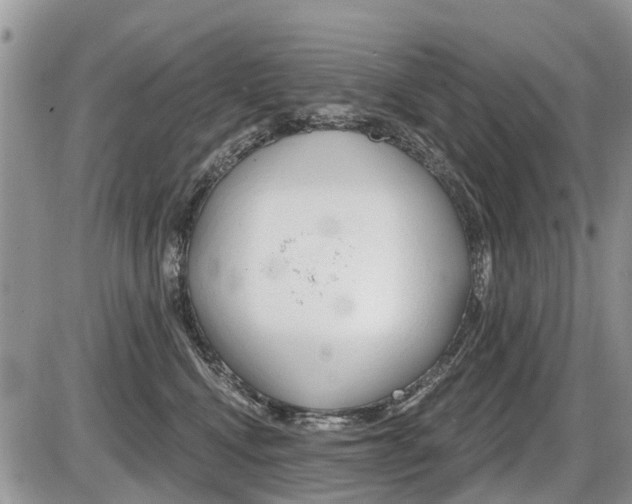 X0000087410472200704201025