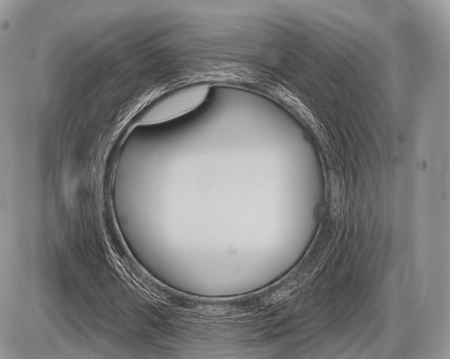 X0000087410482200704201024