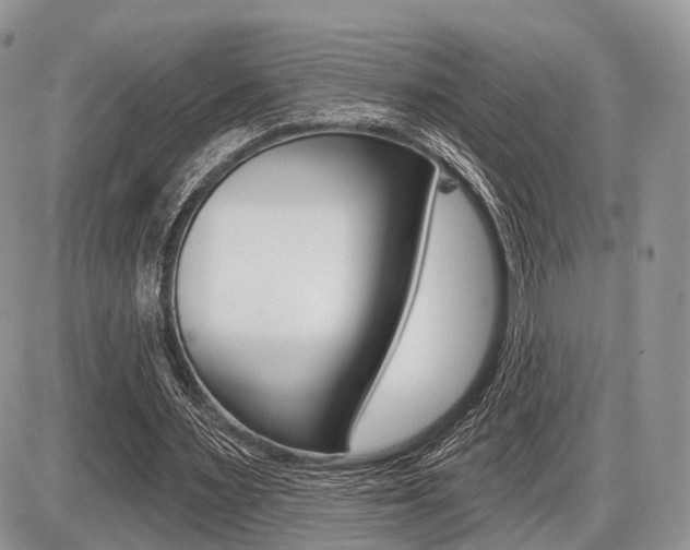 X0000087410483200704201024