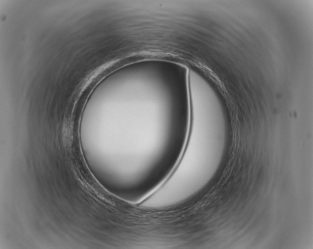 X0000087410484200704201024