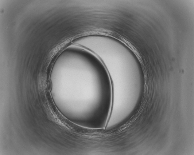 X0000087410485200704201024