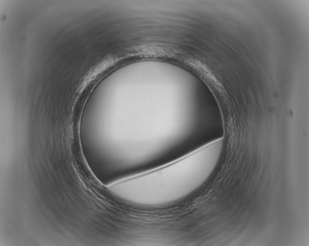 X0000087410488200704201024