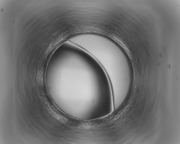 X0000087410489200704201024