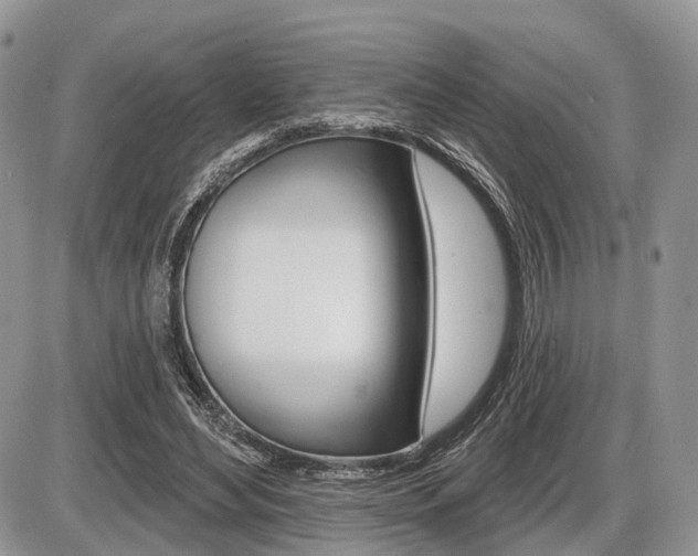 X0000087410492200704201024